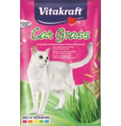 CAT-GRAS RICARICA