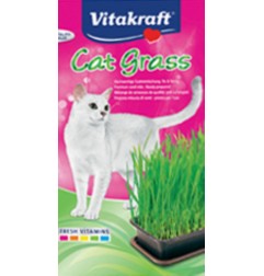VITAKRAFT CAT GRASS ERBA NATURALE