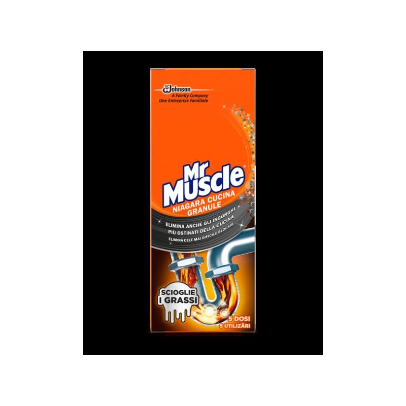 MR MUSCLE NIAGARA 1L GEL POWER