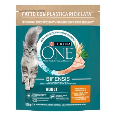 PURINA GATTO INDOOR 800GR