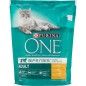 PURINA GATTO POLLO E CEREALI 800GR