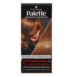 PALETTE PROFESSIONAL TINTURA CAPELLI 6-7 BIONDO