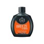 BREEZE DEO SQUEEZE MEN POWER PROTECTION 100ML
