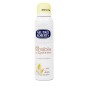 ROBERTS DEO SPRAY AVENA & LATTE 150ML