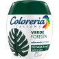 COLORERIA ITALIANA VERDE FORES