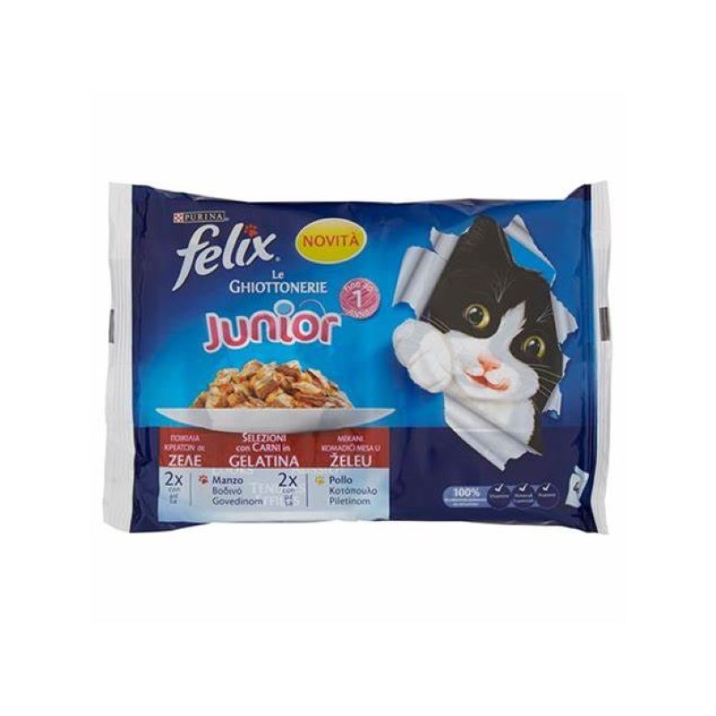 FELIX LE GIOTTONERIE JUNIOR 4X85GR