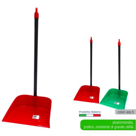 ALZAIMMONDIZIA CON MANICO