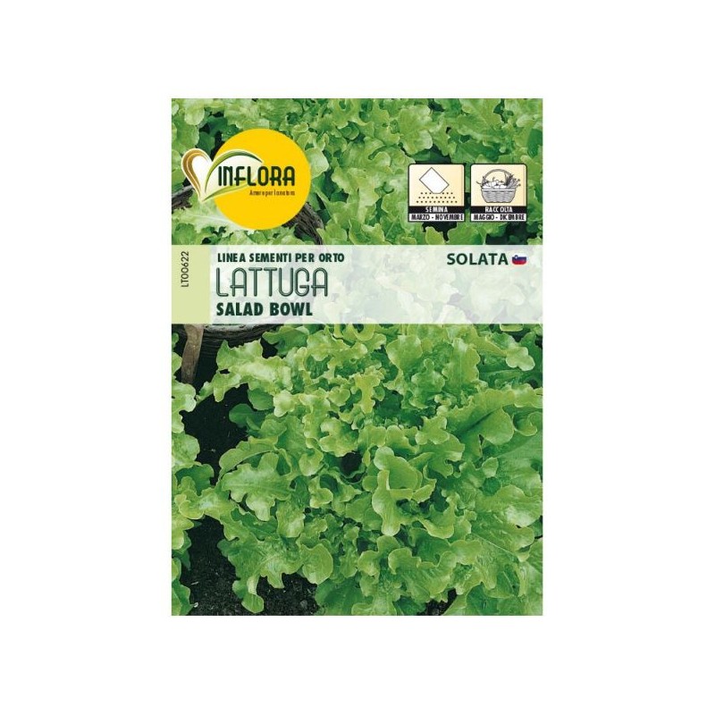 SEMENTI ORTO INFLORA LATTUGA SALAD BOWL