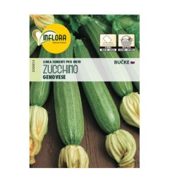 SEMENTI ORTO INFLORA ZUCCHINO GENOVESE