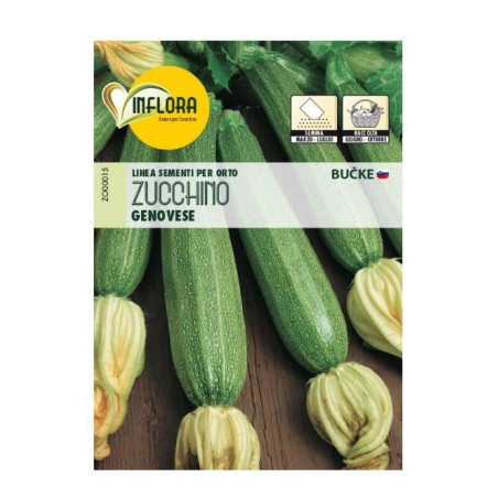 SEMENTI ORTO INFLORA ZUCCHINO GENOVESE