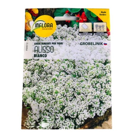 SEMENTI FIORI INFLORA ALISSO BIANCO