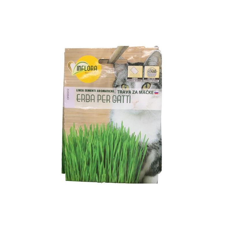 SEMENTI AROMATICHE INFLORA  ERBA PER GATTI