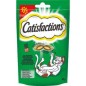 CATISFACTIONS ERBA GATTA 60GR