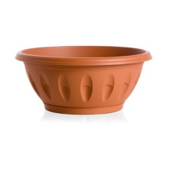 CIOTOLA ALBA CON SOTTOVASO 60X36CM H25CM