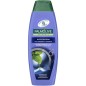 PALMOLIVE SH.ANTIFORFORA CON MENTA SELVATICA 350ML