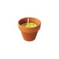 VASETTO TERRACOTTA CITRONELLA