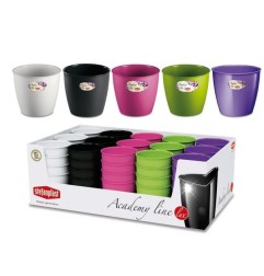 VASO ACADEMY COLOR