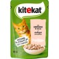 KITEKAT GATTO SALMONE IN SALSA GR.85