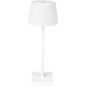LAMPADA DA TAVOLO 4W RICARICABILE USB BIANCA