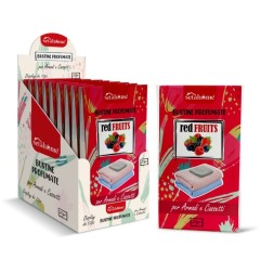 BUSTINE PROFUMATE PER ARMADI E CASSETTI REDFRUIT