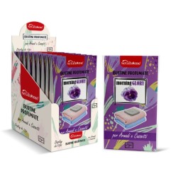 BUSTINE PROFUMATE ARMADI E CASSETTI MORNING GLORY