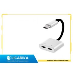 TYPE-C MASCHIO A DUE FEMMINE TYPE-C