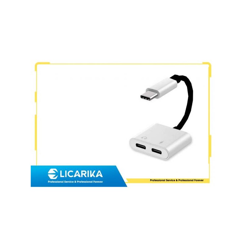 TYPE-C MASCHIO A DUE FEMMINE TYPE-C