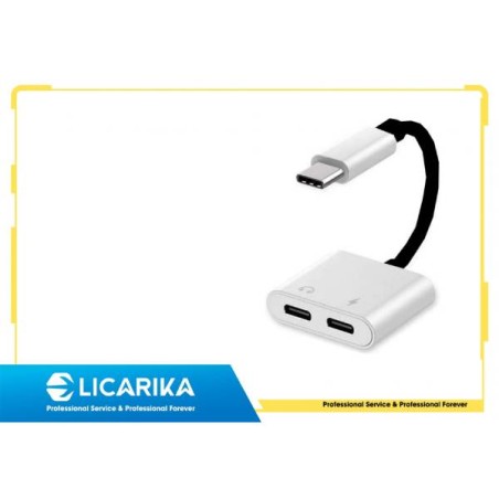 TYPE-C MASCHIO A DUE FEMMINE TYPE-C