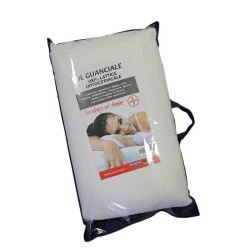 GUANCIALE MEMORY FRUTTA H13