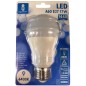 LAMPADINA LED A5 A60 SFERA E27 17W 6400K