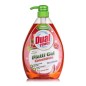 DUAL POWER PIATTI ALOE E MELOGRANO 1LT