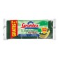 SPONTEX SPUGNA UNIVERSALE 2+1