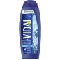 VIDAL DOCCIA SCHIUMA RIVIT. MINERALI MARINI 250ML