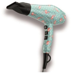 ASCIUGACAPELLI PROFESSIONALE 2000W DESIGN FENICOTT