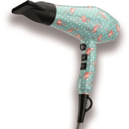 ASCIUGACAPELLI PROFESSIONALE 2000W DESIGN FENICOTT