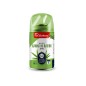 DEO AMBIENTE AUTOMATICO CANNA BAMBU 250ML