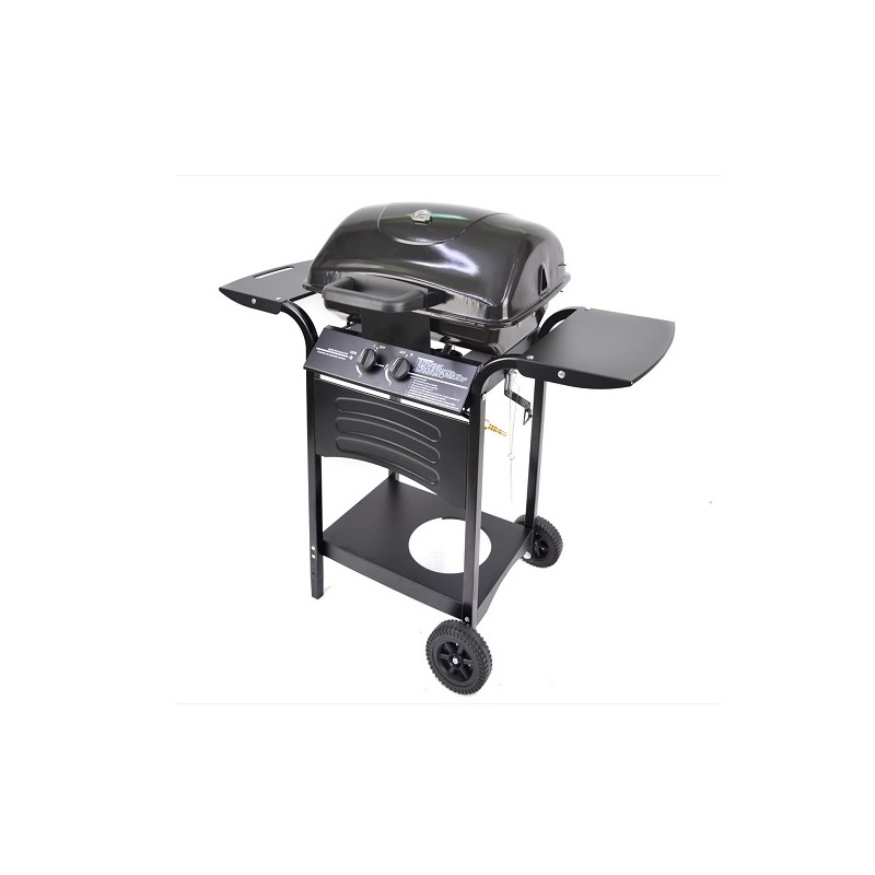 BARBECUE A GAS CON 2 BRUCIATORI