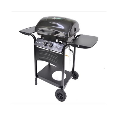 BARBECUE A GAS CON 2 BRUCIATORI