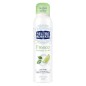 NEUTRO ROBERTS SPRAY 50ML TE' VERDE E LIME