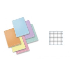 PIGNA MONOCROMO MAXI PASTEL 42FF 80G 5M