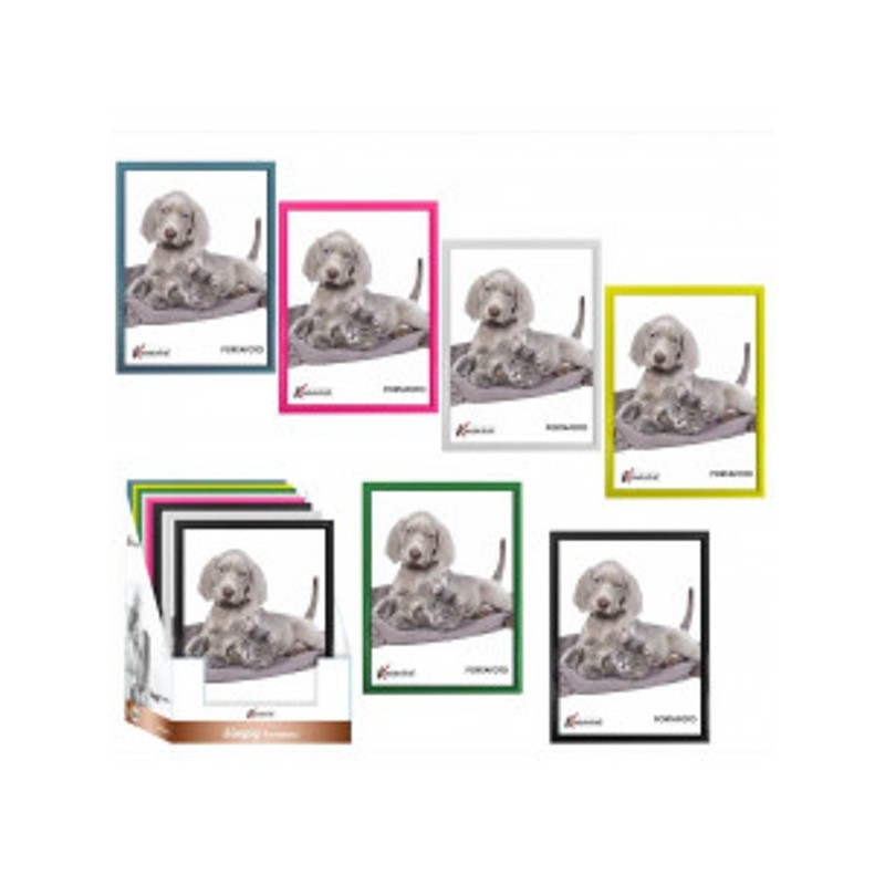 P/FOTO SIMPLY CM.30X40 ASS.