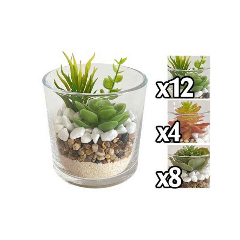 VASO PIANTA GRASSA ROUND GLASS 10*10CM 3