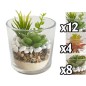 VASO PIANTA GRASSA ROUND GLASS 10*10CM 3