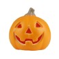 ZUCCA C/LED DIA.CM.12X12H A BATTERI