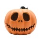 ZUCCA TESCHIO C/LED DIA.CM.23X20H