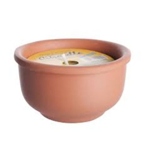 VASETTI CITRONELLA TERRACOTTA