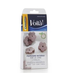 VOILA' 6 FIORELLINI PROT. LANA CEDRO ROSSO