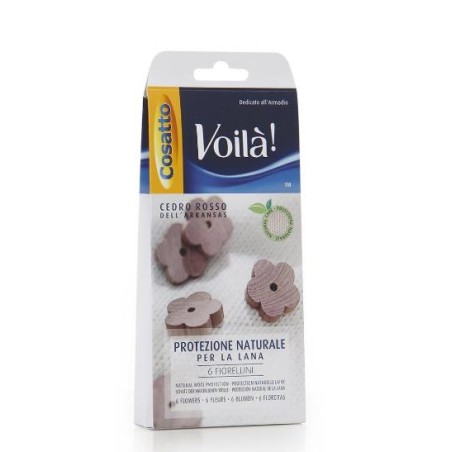 VOILA' 6 FIORELLINI PROT. LANA CEDRO ROSSO