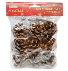 SET 9 PIGNE CM.5 NATURALI