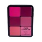 FC  PALETTE BLUSH